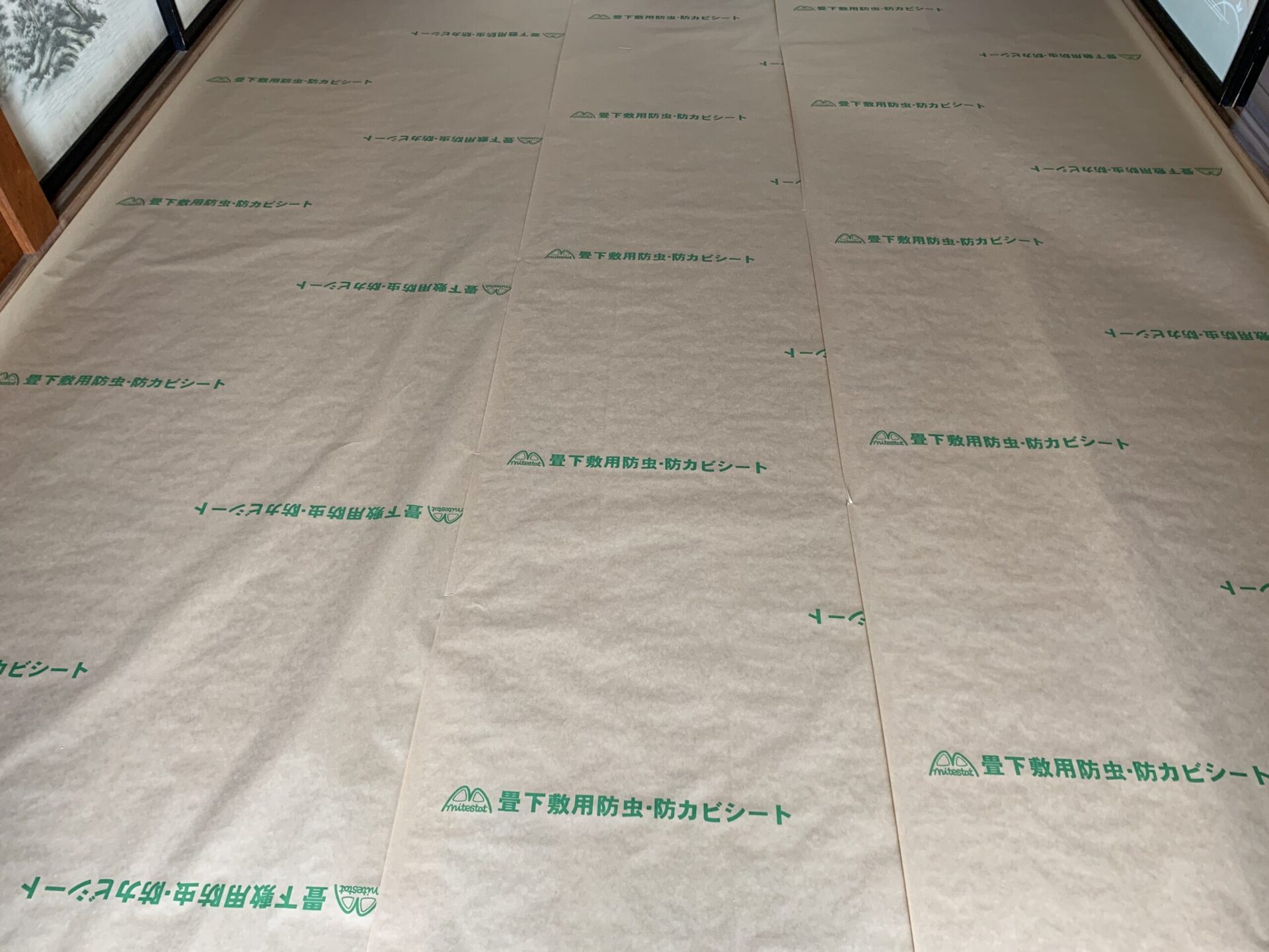 畳下用  日本製 畳 防虫紙 防虫シート 防ダニシートと使うとより効果的！ 防湿透明シート 湿気対策に